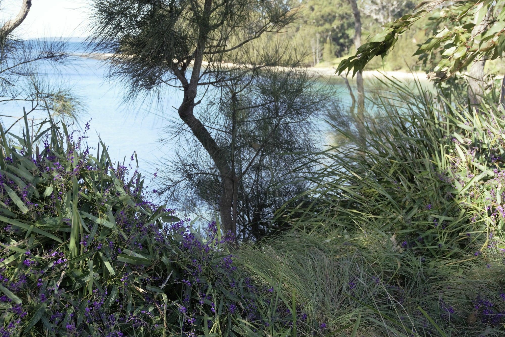 Huskisson Bayside Resort Extérieur photo